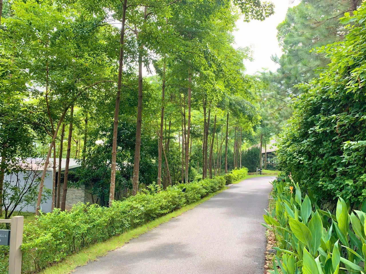 Ảnh Villa 12